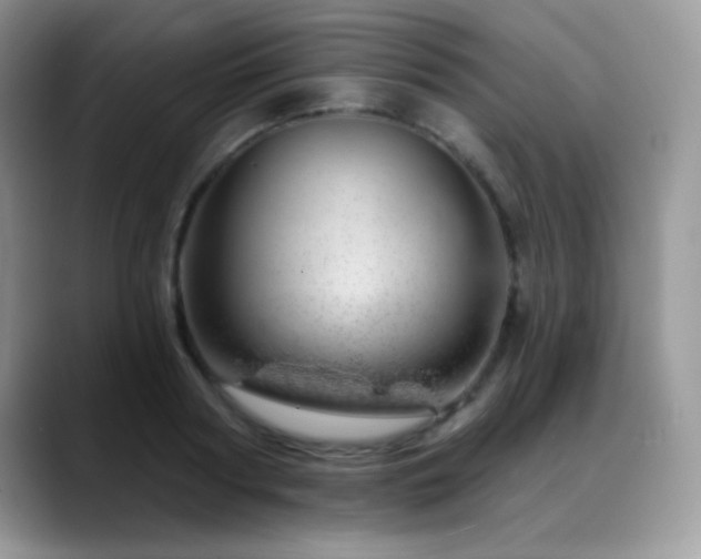 X0000088900794200706081305