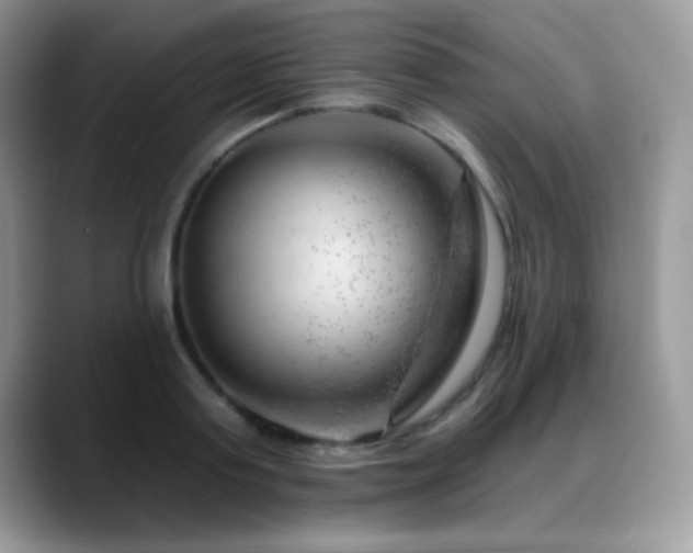 X0000088900795200706081305