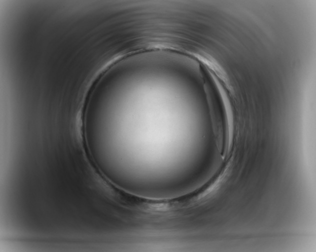 X0000088900798200706081305