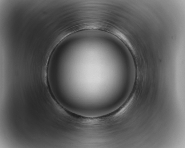 X0000088900802200706081305