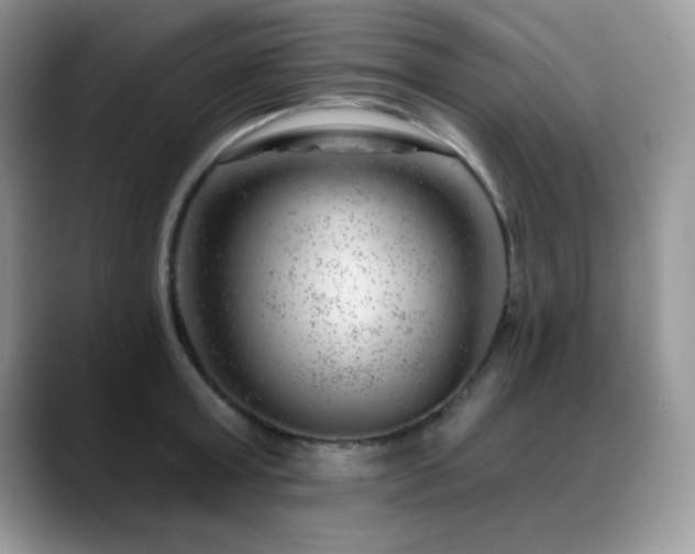 X0000088900803200706081305
