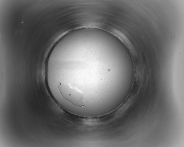 X0000088900804200706081305