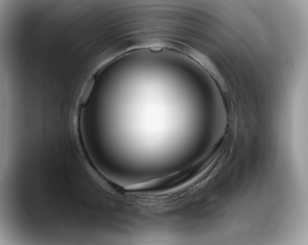 X0000088900805200706081305