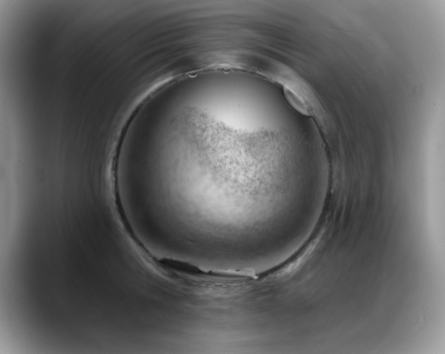 X0000088900806200706081305