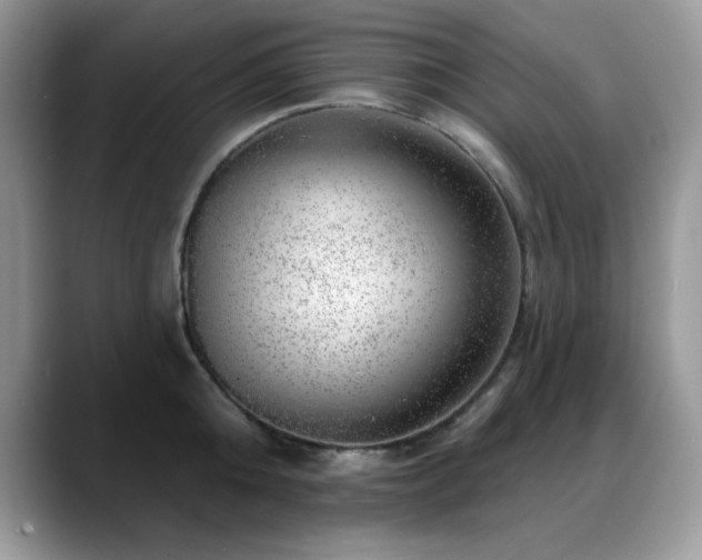 X0000088900808200706081305