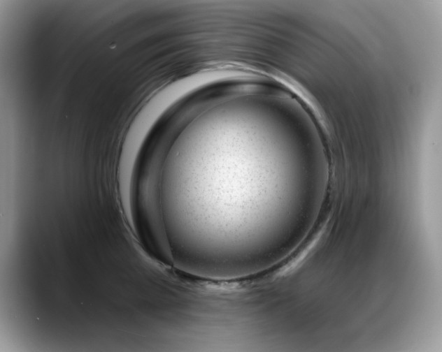 X0000088900809200706081305
