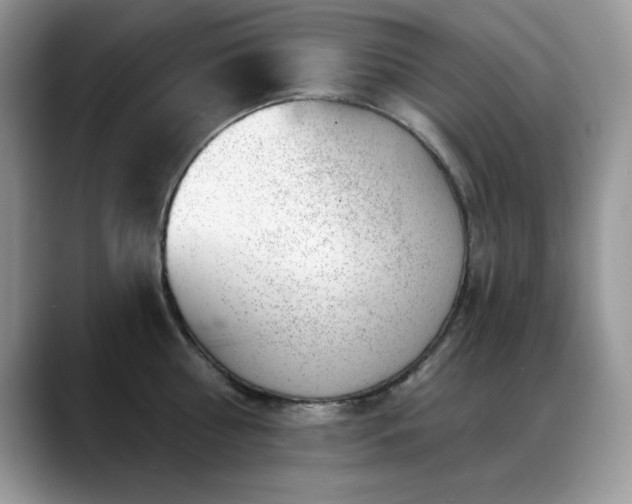X0000088900810200706081305