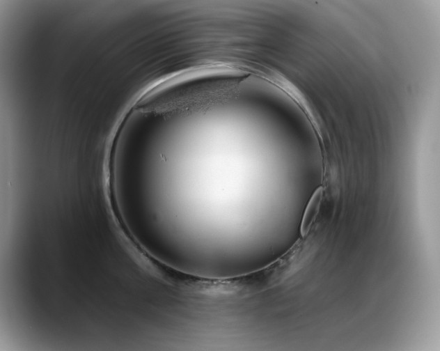X0000088900811200706081305
