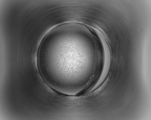 X0000088900812200706081305