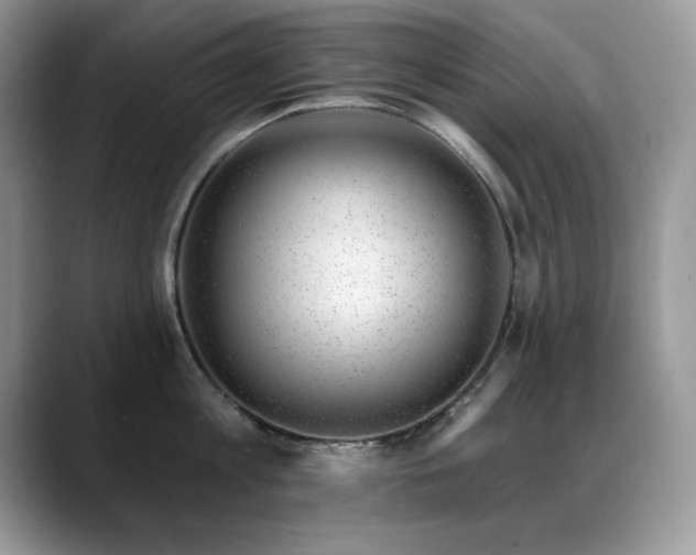 X0000088900813200706081305
