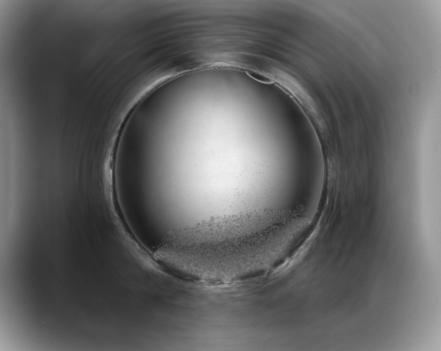 X0000088900814200706081305