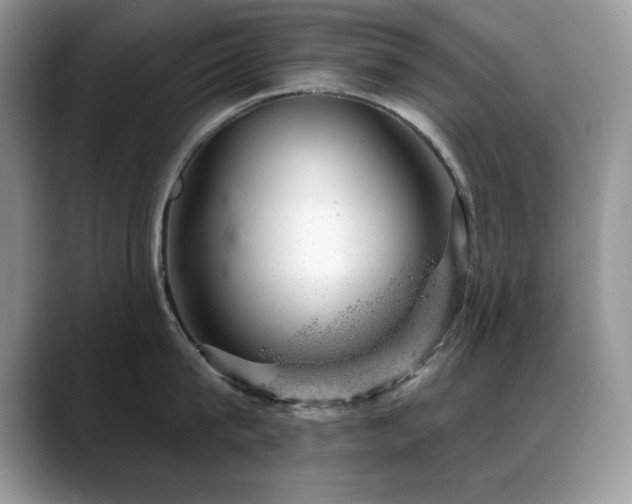X0000088900815200706081305