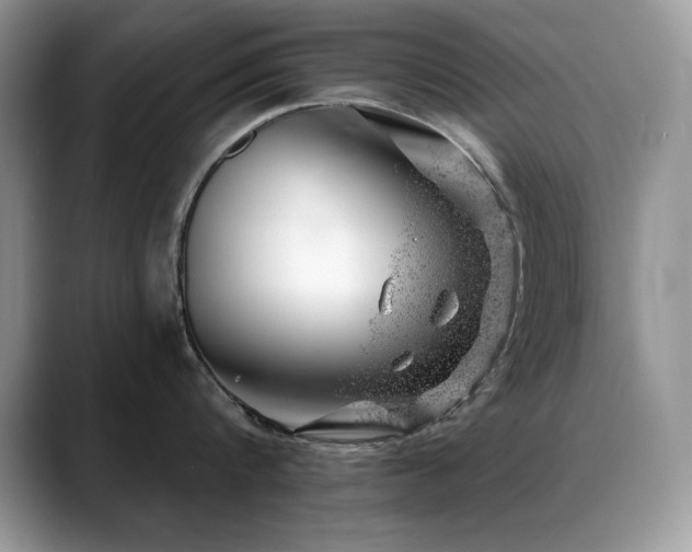 X0000088900816200706081305