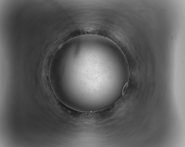 X0000088900817200706081304