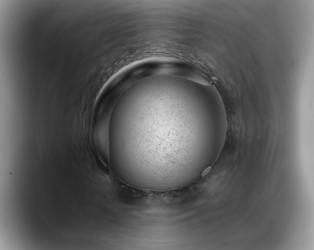 X0000088900818200706081304