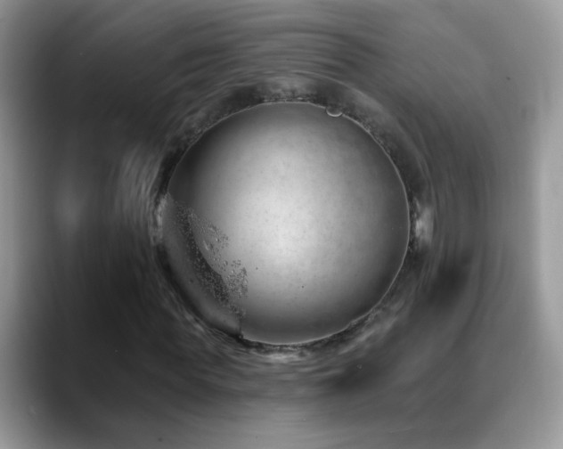 X0000088900819200706081304