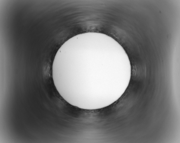 X0000088900820200706081304