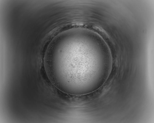 X0000088900821200706081304