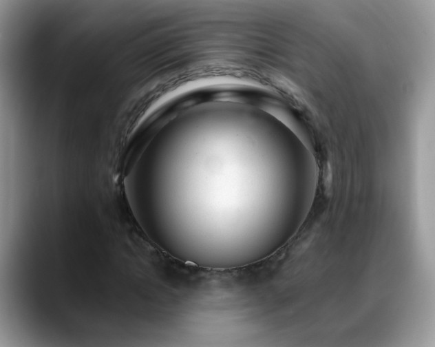X0000088900822200706081304
