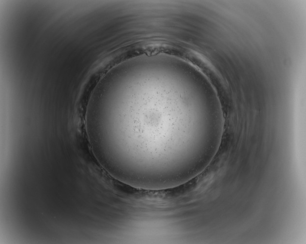 X0000088900823200706081304