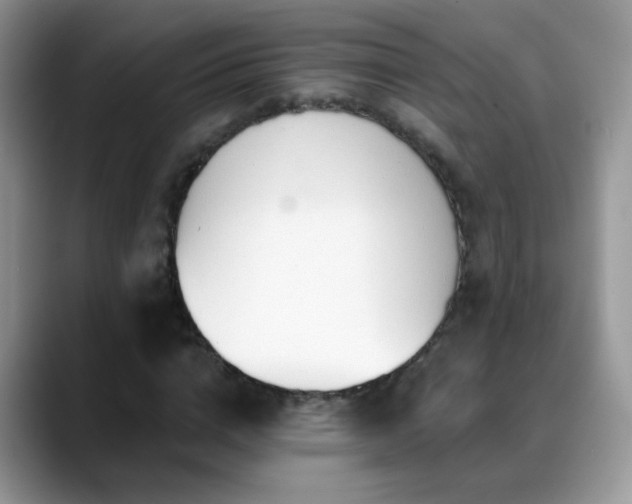 X0000088900824200706081304