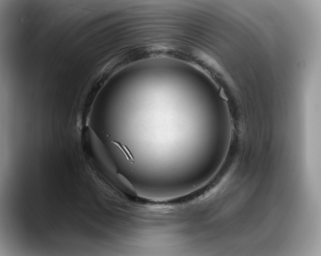 X0000088900825200706081304