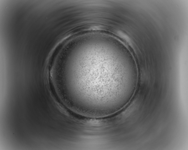 X0000088900827200706081304