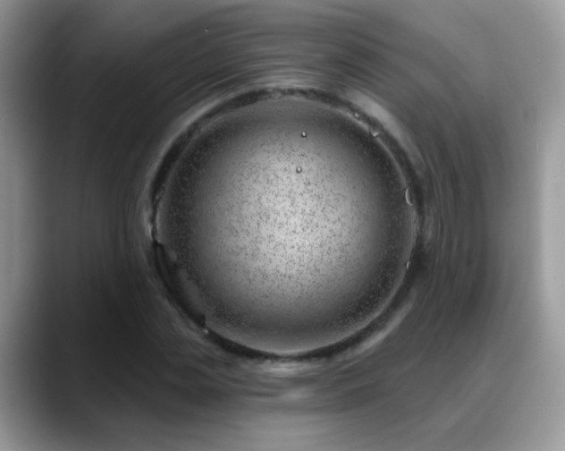 X0000088900829200706081304