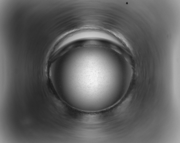 X0000088900830200706081304