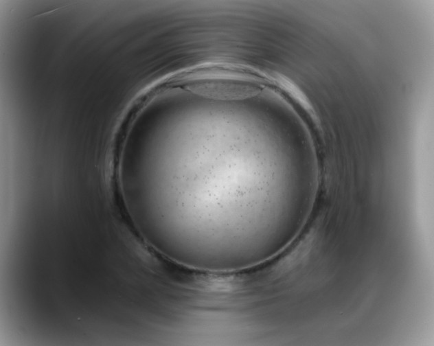 X0000088900831200706081304