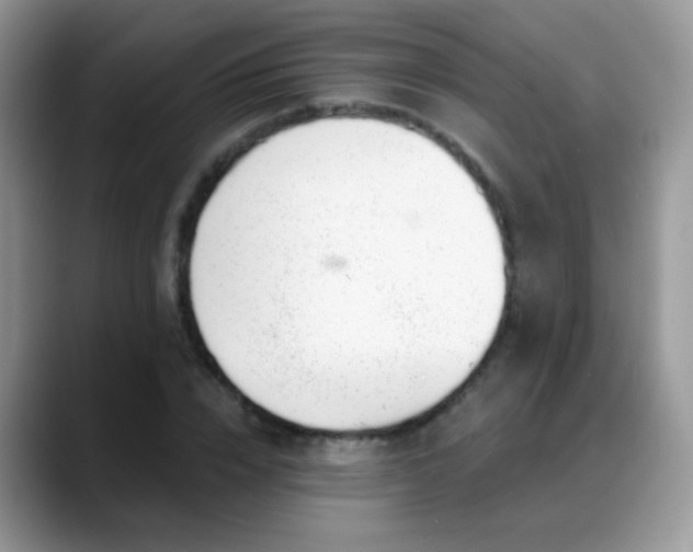 X0000088900832200706081304