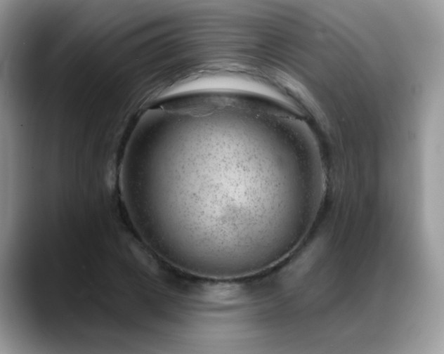 X0000088900833200706081304