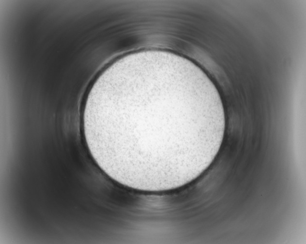 X0000088900836200706081304