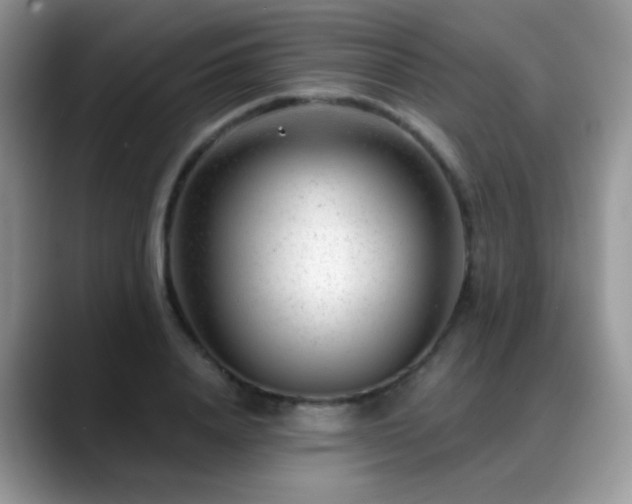 X0000088900840200706081304