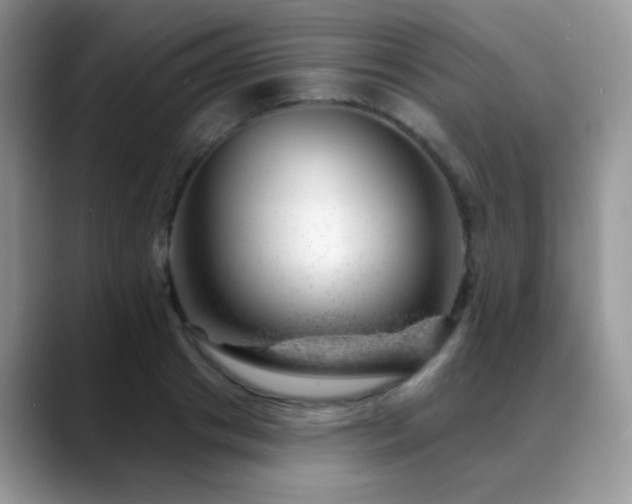 X0000088900841200706081304