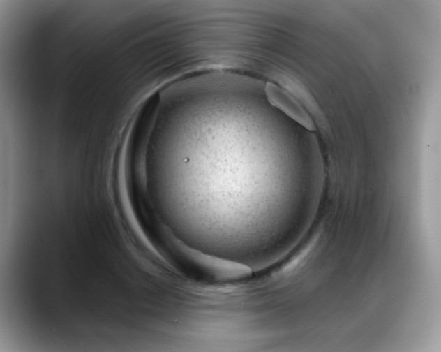 X0000088900842200706081304