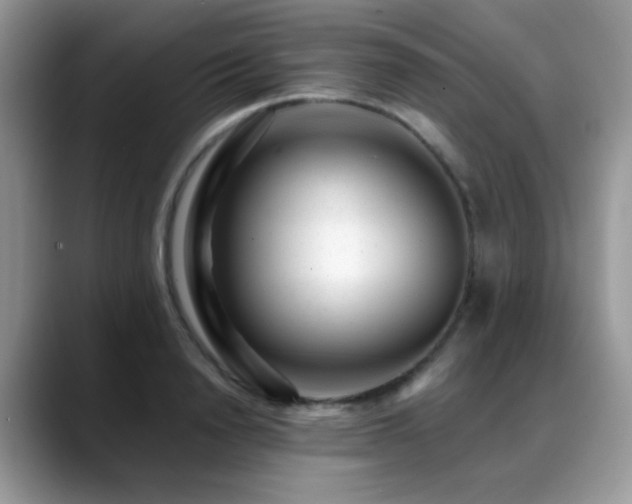 X0000088900846200706081304