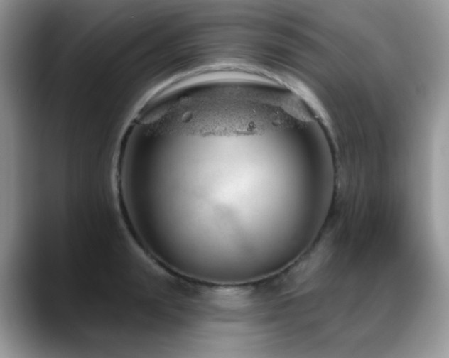 X0000088900847200706081304
