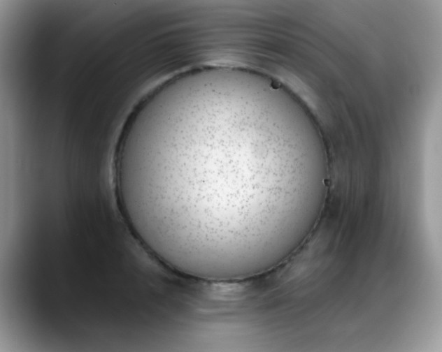 X0000088900848200706081304