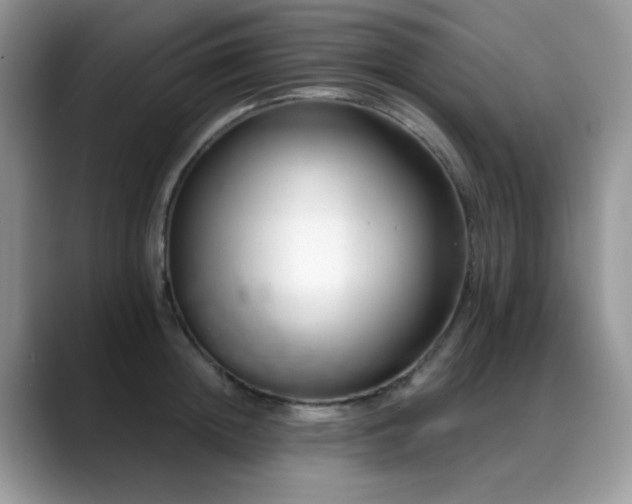 X0000088900852200706081304