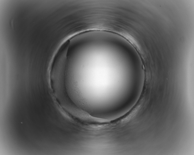 X0000088900854200706081304