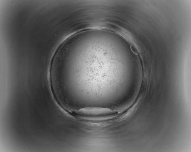 X0000088900855200706081304