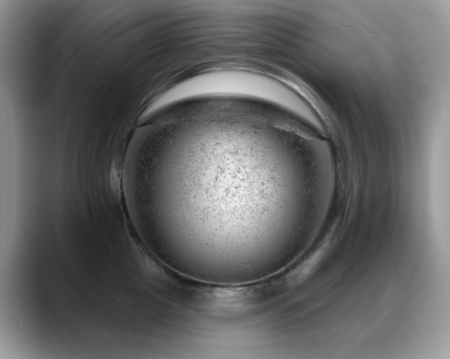X0000088900857200706081304