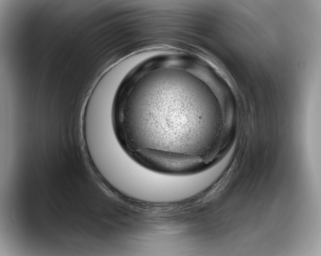 X0000088900858200706081304
