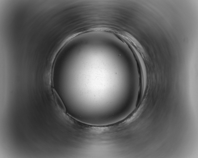 X0000088900860200706081304