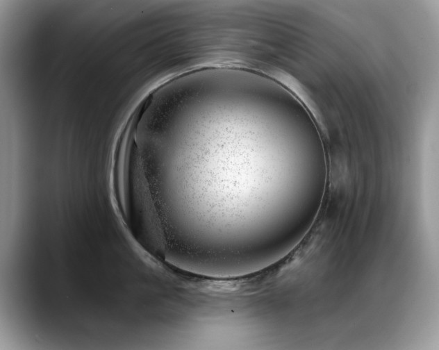 X0000088900861200706081304