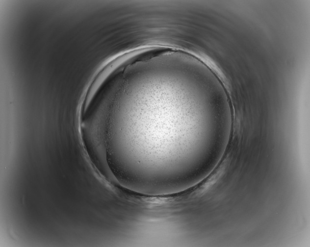 X0000088900862200706081305