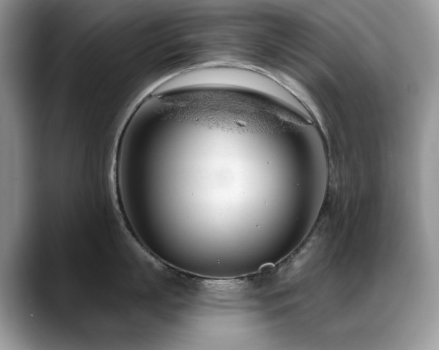X0000088900863200706081305