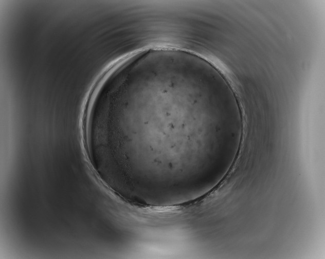 X0000088900864200706081305