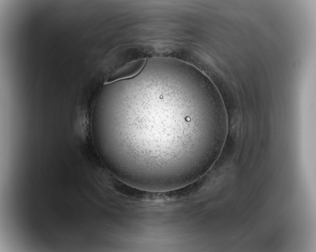 X0000088900866200706081304